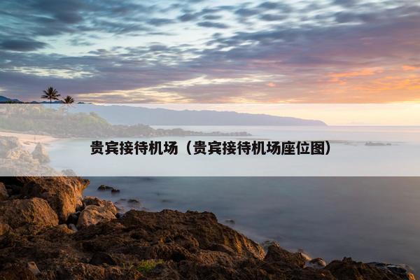 贵宾接待机场（贵宾接待机场座位图）