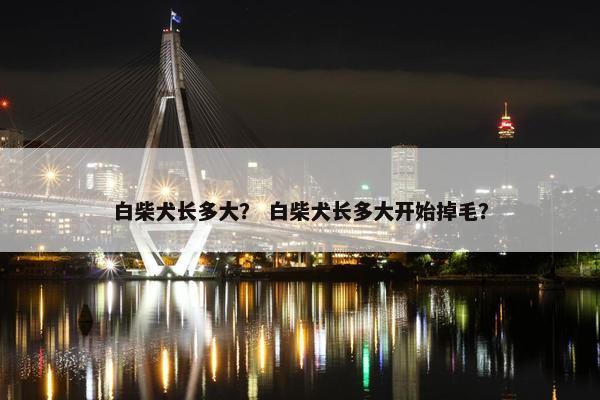 白柴犬长多大？ 白柴犬长多大开始掉毛？