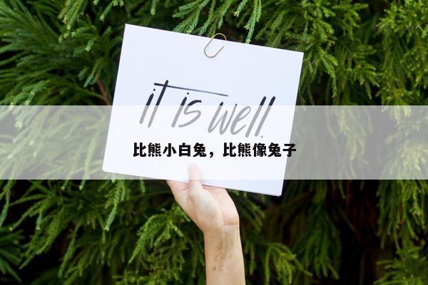 比熊小白兔，比熊像兔子