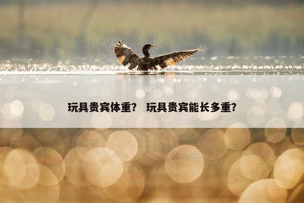 玩具贵宾体重？ 玩具贵宾能长多重？