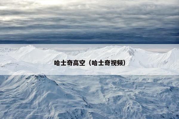 哈士奇高空（哈士奇视频）