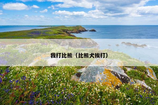 我打比熊（比熊犬挨打）