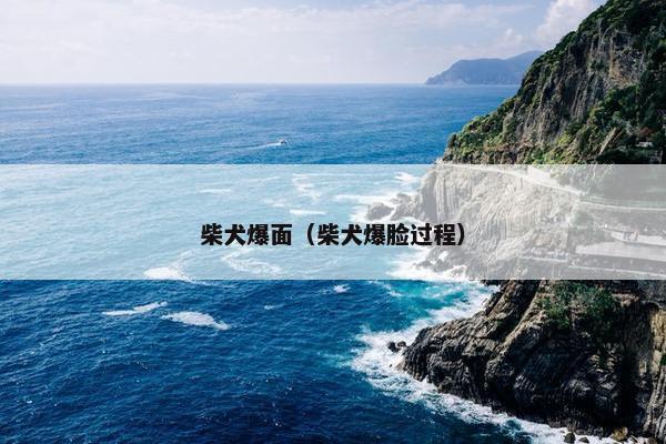 柴犬爆面（柴犬爆脸过程）