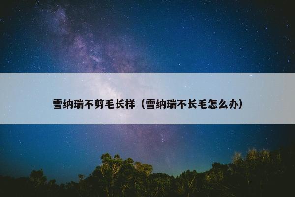 修剪 第7页