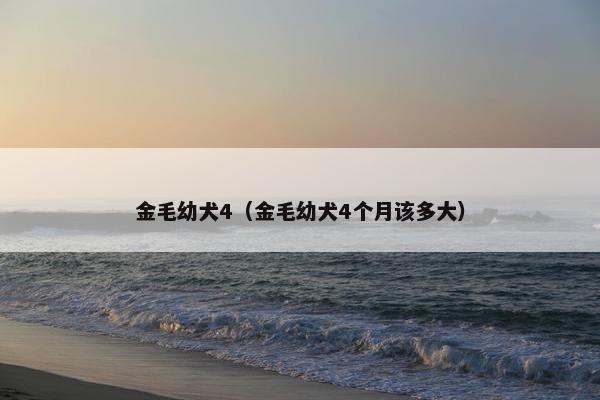 犬粮 第11页