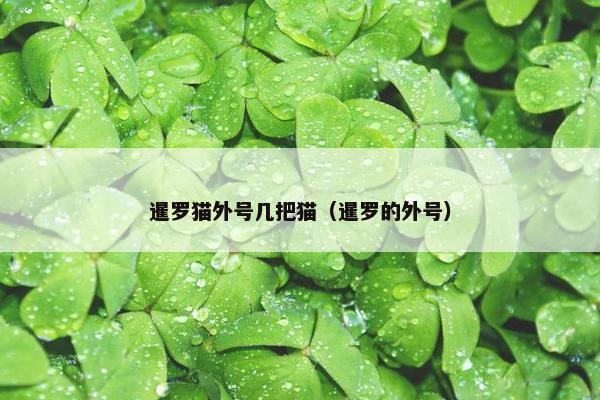 单独