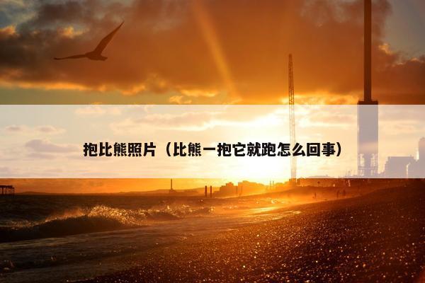 抱比熊照片（比熊一抱它就跑怎么回事）
