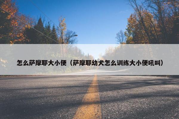 怎么萨摩耶大小便（萨摩耶幼犬怎么训练大小便吼叫）