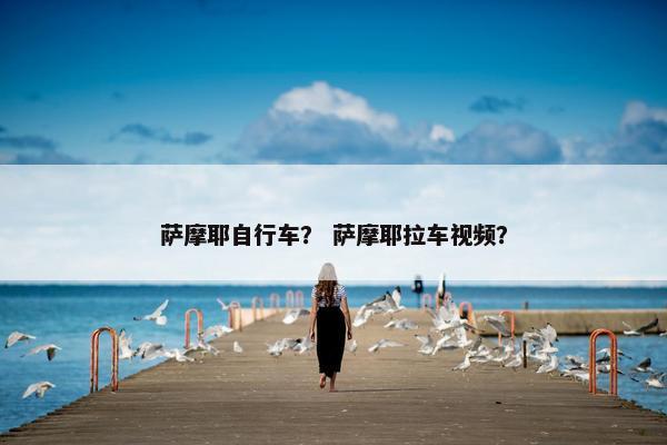 萨摩耶自行车？ 萨摩耶拉车视频？