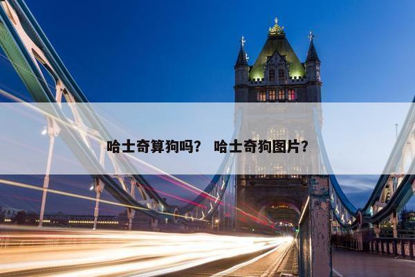 哈士奇算狗吗？ 哈士奇狗图片？
