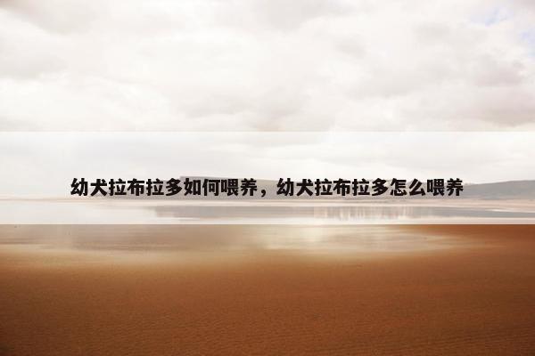 幼犬拉布拉多如何喂养，幼犬拉布拉多怎么喂养
