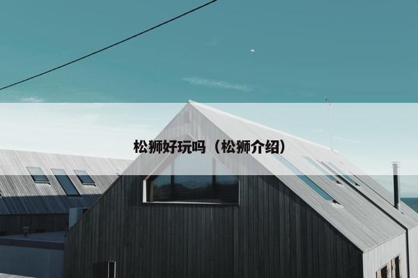 松狮好玩吗（松狮介绍）