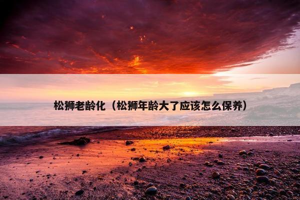 松狮老龄化（松狮年龄大了应该怎么保养）