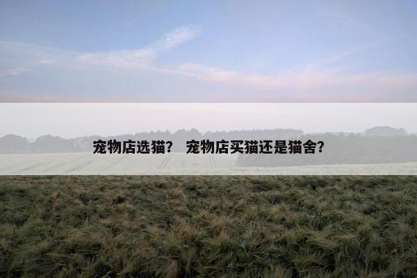宠物店选猫？ 宠物店买猫还是猫舍？