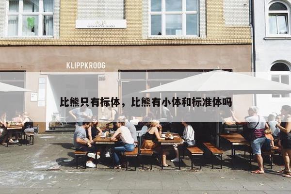 比熊只有标体，比熊有小体和标准体吗