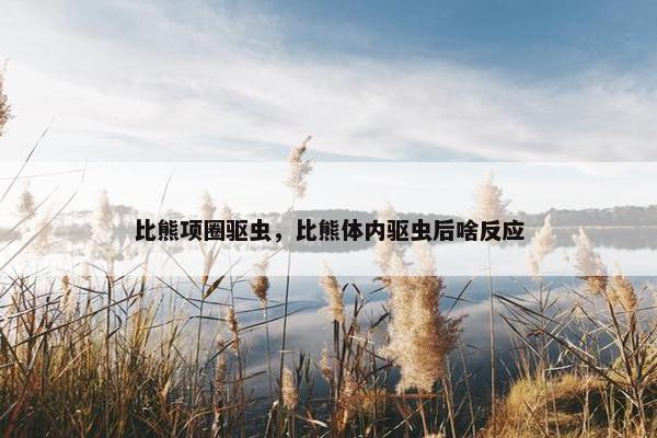 比熊项圈驱虫，比熊体内驱虫后啥反应