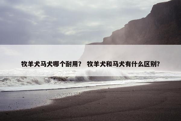 牧羊犬马犬哪个耐用？ 牧羊犬和马犬有什么区别？