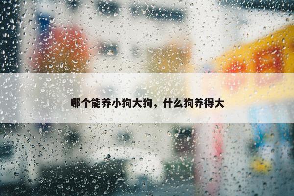 哪个能养小狗大狗，什么狗养得大