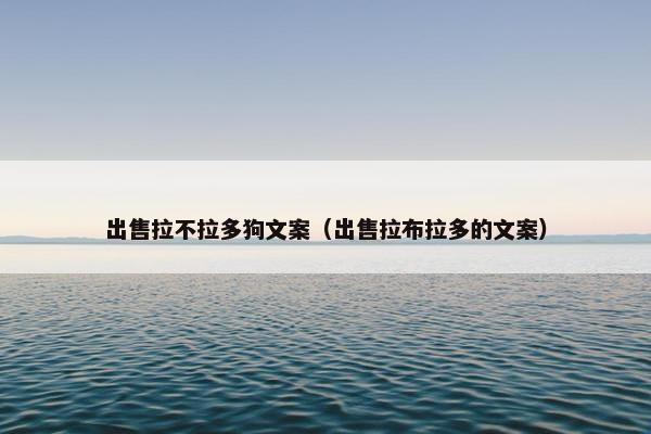 中考
