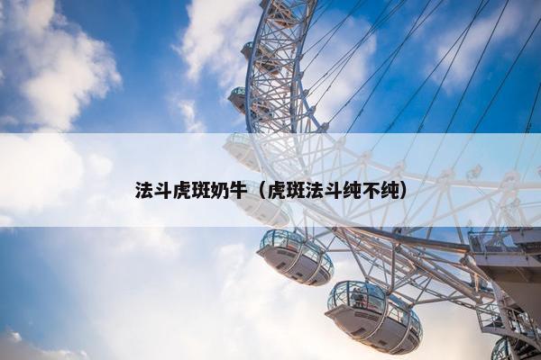 法斗虎斑奶牛（虎斑法斗纯不纯）
