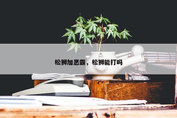 松狮加恶霸，松狮能打吗