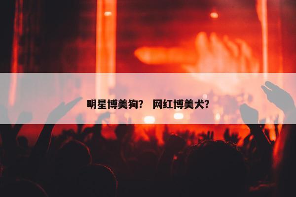 明星博美狗？ 网红博美犬？