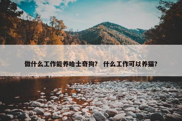 做什么工作能养哈士奇狗？ 什么工作可以养猫？