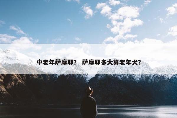 中老年萨摩耶？ 萨摩耶多大算老年犬？