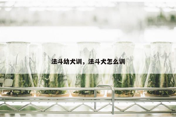 法斗幼犬训，法斗犬怎么训