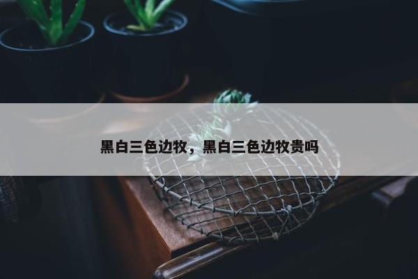 黑白三色边牧，黑白三色边牧贵吗