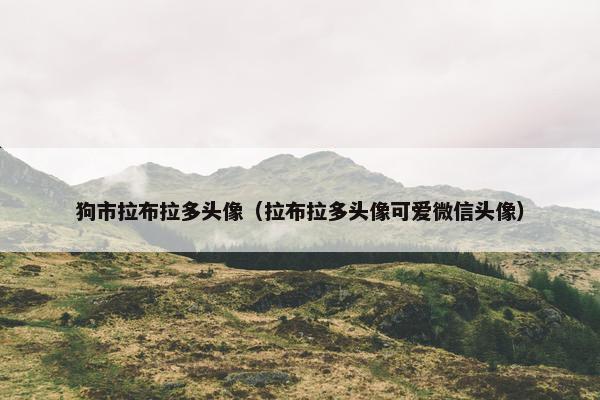 狗市拉布拉多头像（拉布拉多头像可爱微信头像）