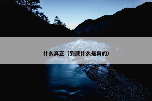 什么真正（到底什么是真的）