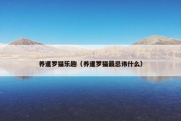 养暹罗猫乐趣（养暹罗猫最忌讳什么）