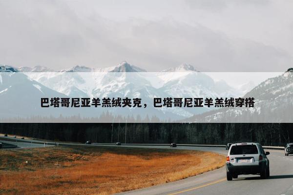 巴塔哥尼亚羊羔绒夹克，巴塔哥尼亚羊羔绒穿搭