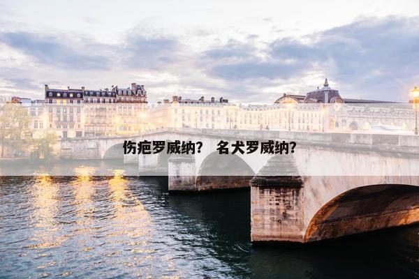 伤疤罗威纳？ 名犬罗威纳？
