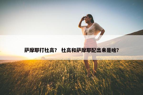 萨摩耶打杜高？ 杜高和萨摩耶配出来是啥？