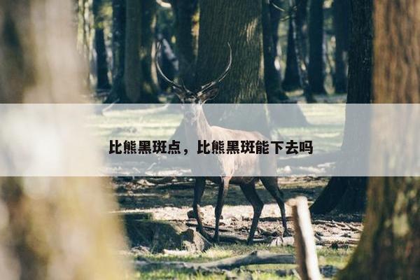 比熊黑斑点，比熊黑斑能下去吗