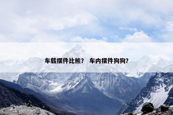 比熊 第14页