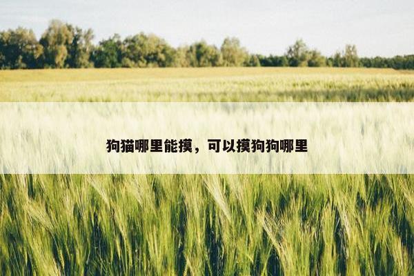 狗猫哪里能摸，可以摸狗狗哪里
