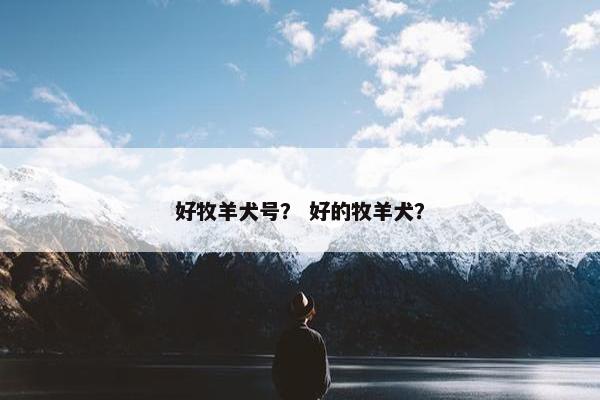 好牧羊犬号？ 好的牧羊犬？