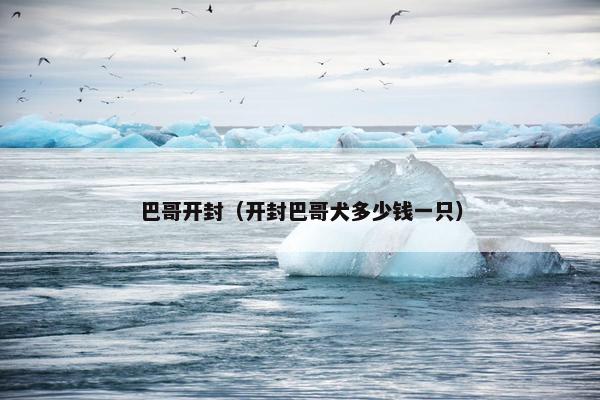 开封
