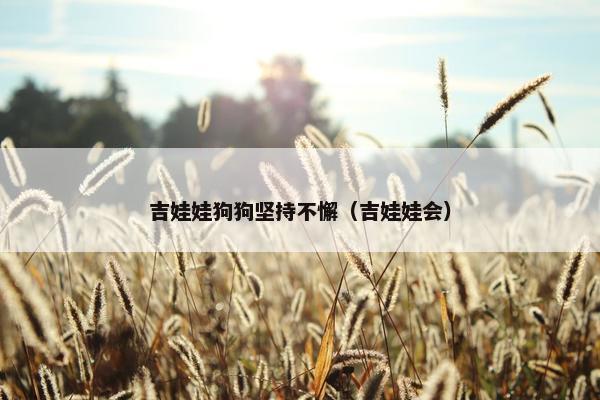 吉娃娃狗狗坚持不懈（吉娃娃会）