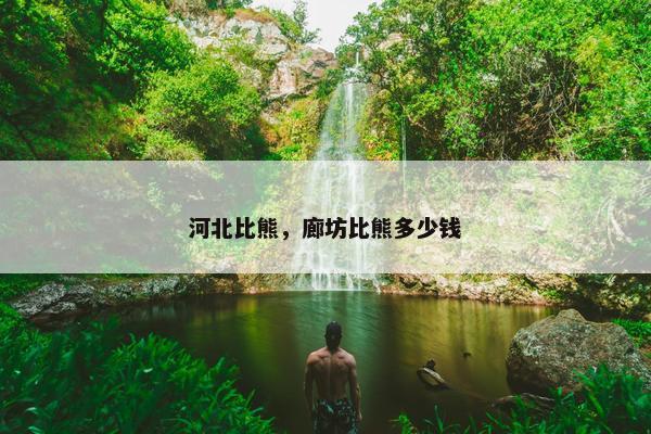 河北比熊，廊坊比熊多少钱