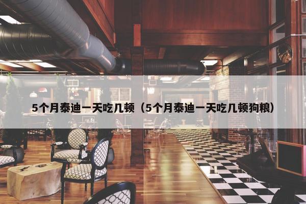 5个月泰迪一天吃几顿（5个月泰迪一天吃几顿狗粮）