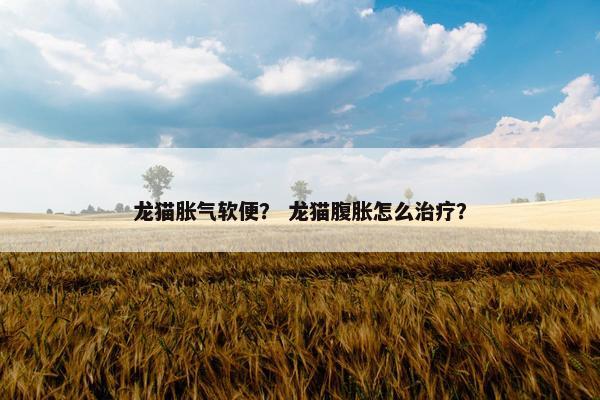 消化系统