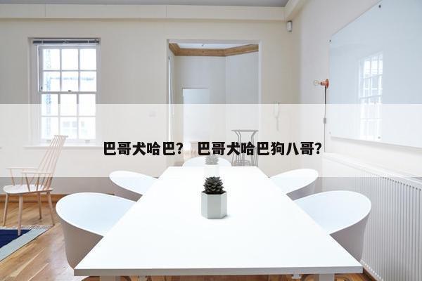 巴哥犬哈巴？ 巴哥犬哈巴狗八哥？