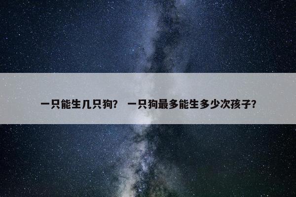 一只能生几只狗？ 一只狗最多能生多少次孩子？