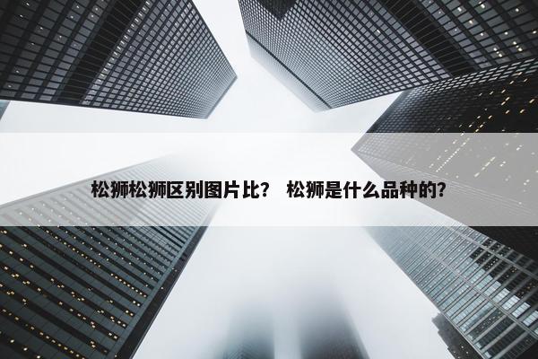 松狮松狮区别图片比？ 松狮是什么品种的？