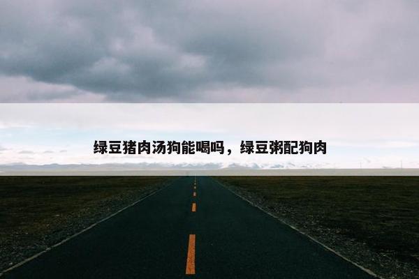 绿豆猪肉汤狗能喝吗，绿豆粥配狗肉