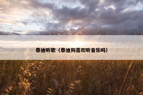 泰迪听歌（泰迪狗喜欢听音乐吗）